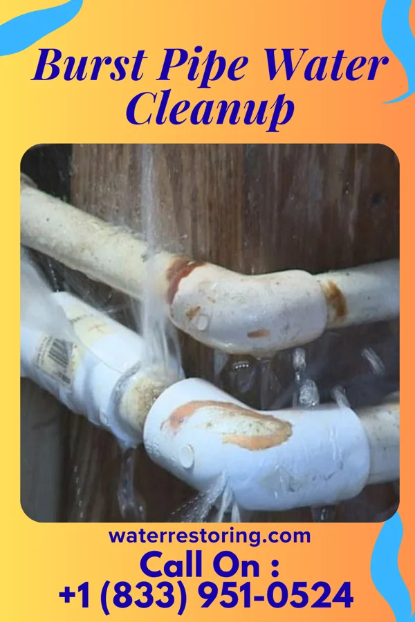 Burst Pipe Water Cleanup in Normandy, MO