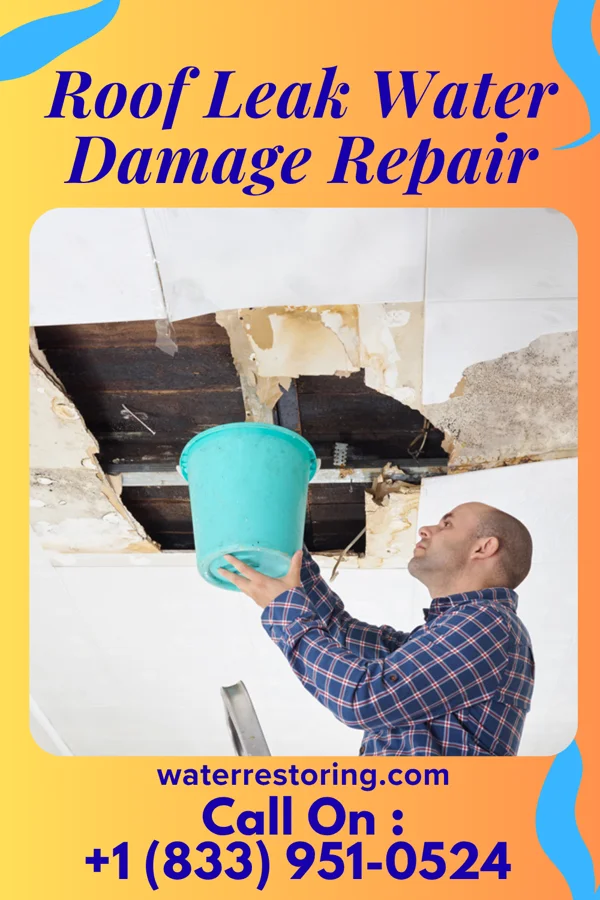 Roof Leak Water Damage Repair in Normandy, MO